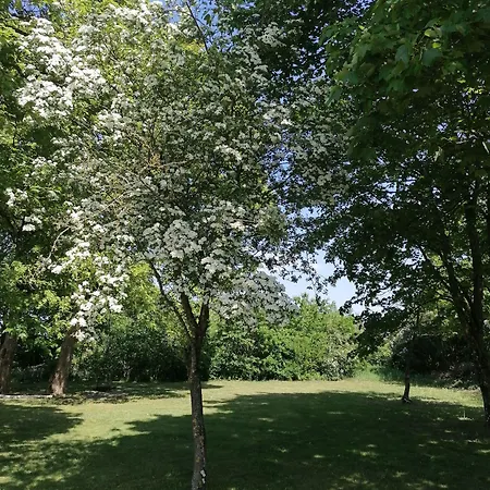 아파트 Aagaarden *