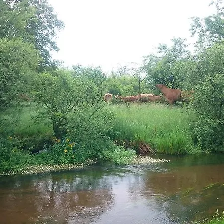 Aagaarden Leilighet *