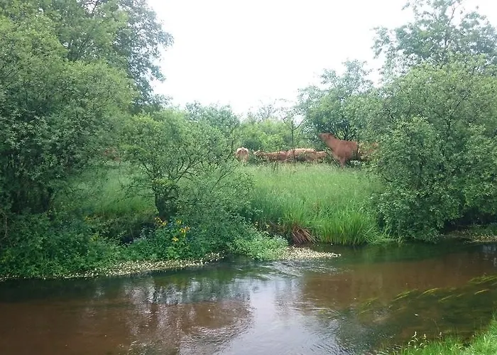 Aagaarden Lejlighed *